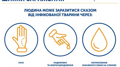 На Миколаївщині від сказу помер чоловік На Миколаївщині від сказу помер чоловік