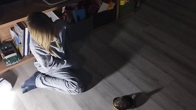 "Ми подолали разом понад тридцять блокпостів". Історія херсонської родини, яка під час окупації вивезла з собою черепаху "Ми подолали разом понад тридцять блокпостів". Історія херсонської родини, яка під час окупації вивезла з собою черепаху