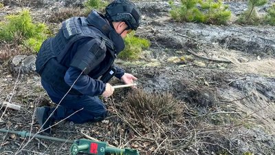 16 артилерійських снарядів часів Другої світової війни знищили піротехніки на Рівненщині