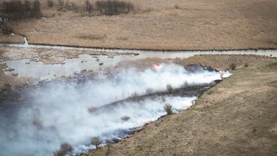 Пожежа в орнітологічному заказнику