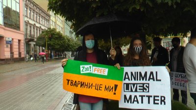 Франківці протестували проти жорстокого поводження з тваринами Франківці протестували проти жорстокого поводження з тваринами