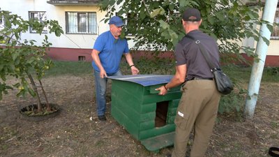 Чому собак із притулку повертають у місто