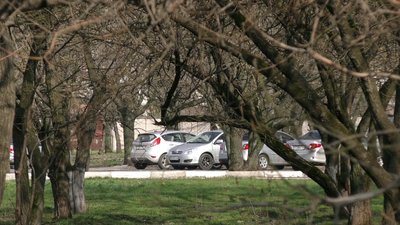 Херсонські "Дубки" зникли з переліку парків міста: громадскість з'ясовує причини Херсонські "Дубки" зникли з переліку парків міста: громадскість з'ясовує причини