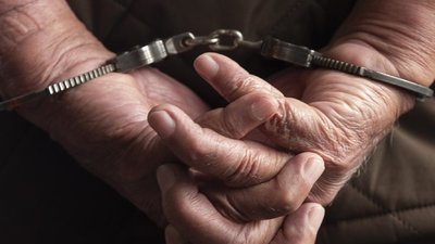 Правоохоронці Херсонщини затримали крадія