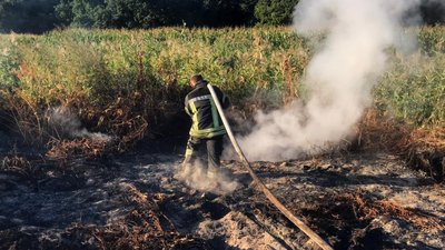 У Києві знову задимлене повітря. На Київщині горять торф'яники у двох районах