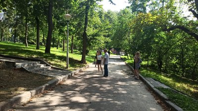 У Шодуарівському парку Житомира вандали пошкодили п'ять берез У Шодуарівському парку Житомира вандали пошкодили п'ять берез