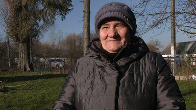 Ялинка в подарунок Ялинка в подарунок