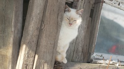 Прогноз погоди на 10-13 лютого дали рівненські синоптики