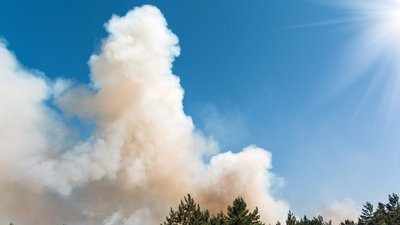 
Обстріл фермерського господарства в Чернігівському районі: горіла солома