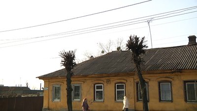 У Житомирі місцева жителька скаржиться на недбале кронування дерев У Житомирі місцева жителька скаржиться на недбале кронування дерев
