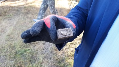 На Житомирщині розпочали вакцинацію диких тварин від сказу На Житомирщині розпочали вакцинацію диких тварин від сказу