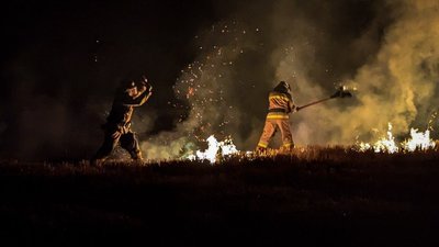 Пожежники ліквідують займання сухої трави Пожежники ліквідують займання сухої трави