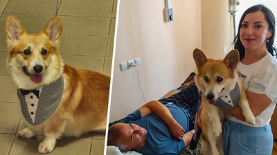 ”Візьми свого собаку на роботу”. Кропивницька психологиня долучилась до міжнародної акції