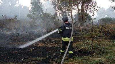 На Луганщині вогонь охопив понад тисячу гектарів — одна людина загинула