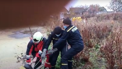Три години кликав на допомогу. У Сумах чоловік застряг у болоті (ВІДЕО)