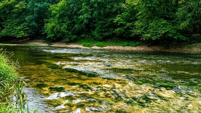 Кам'янисті пороги на річці Горинь