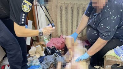 Слідчі дії у справі умисного вбивства