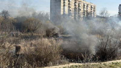 В Ужгороді на озері Кірпічка горить сухостій