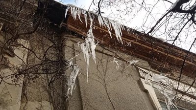 Обережно бурульки: на Тернопільщині прогнозують туман та ожеледицю