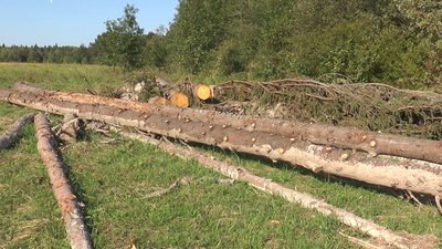 марафоннннн екологія марафоннннн екологія