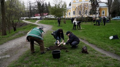 У Чернігові висадили "Алею Незламності" з 27 шевченківських дубів У Чернігові висадили "Алею Незламності" з 27 шевченківських дубів