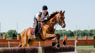 Черкаські спортсмени стали кращими в Україні Черкаські спортсмени стали кращими в Україні