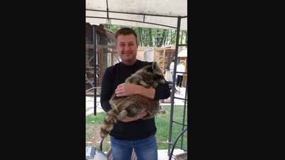загибліі загибліі