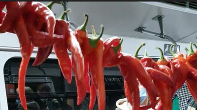 Продуктовий ярмарок та манікюр. Київське метро влаштувало акцію проти незаконної торгівлі