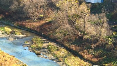 У Житомирі рік тому спустили воду з Тетерева: як змінилася річка за цей час У Житомирі рік тому спустили воду з Тетерева: як змінилася річка за цей час