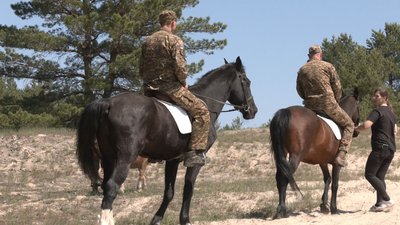 Іпотерапія у Вергунах