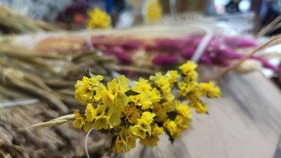 Кропивничанка замість живої ялинки прикрашає свою квартиру дідохом Кропивничанка замість живої ялинки прикрашає свою квартиру дідохом