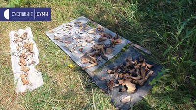 На Сумщині археологи знайшли війстря стріл, нетипові для регіону На Сумщині археологи знайшли війстря стріл, нетипові для регіону