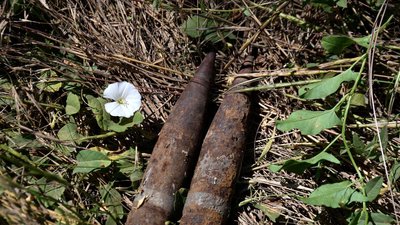 Снаряди у траві: ДСНС на Миколаївщині знищила два боєприпаси
