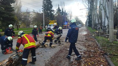 У Запоріжжі внаслідок негоди впали дерева