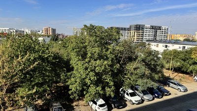 Що чекає на зелену зону по вулиці Сікорського в Ужгороді