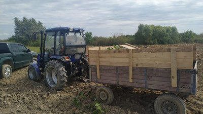Понад сорок ящиків сигарет контрабандисти планували перемістити до Румунії Понад сорок ящиків сигарет контрабандисти планували перемістити до Румунії