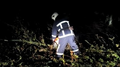 Рятувальники розкряжували дерева, звільнили шлях транспортним засобам. Фото ГУ ДСНС у Хмельницькій області
