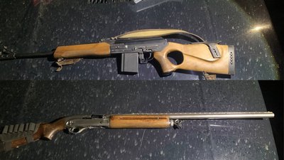 На Чернігівщині впіймали двох мисливців, які вполювали двох диких кабанів На Чернігівщині впіймали двох мисливців, які вполювали двох диких кабанів