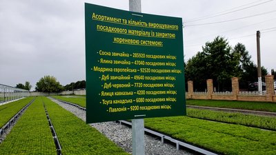 У лісгоспах готові до висадки дерев.