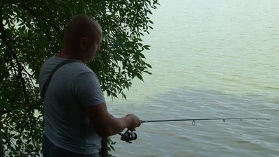 Чому у річці на Черкащині загинула риба. Пояснення фахівців Чому у річці на Черкащині загинула риба. Пояснення фахівців