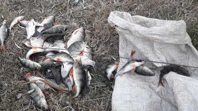 За добу на Херсонщині браконьєри завдали збитків майже на 33 тисячі гривень