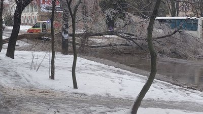 Падали дерева, зупинились тролейбуси, ожеледиця на дорогах: наслідки негоди у Херсоні Падали дерева, зупинились тролейбуси, ожеледиця на дорогах: наслідки негоди у Херсоні