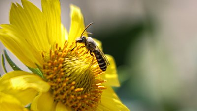 Вдень до +25°. На Херсонщині 26 серпня буде тепла та суха погода