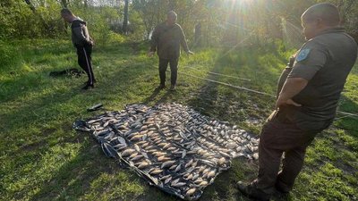Нерестова заборона, риба, екологія