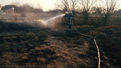 На Чернігівщині через спалювання трави сталося 38 пожеж, 1 людина загинула На Чернігівщині через спалювання трави сталося 38 пожеж, 1 людина загинула