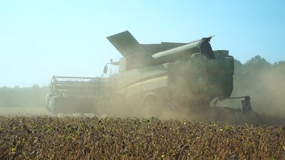Як посуха вплинула на врожай Вінниччини Як посуха вплинула на врожай Вінниччини