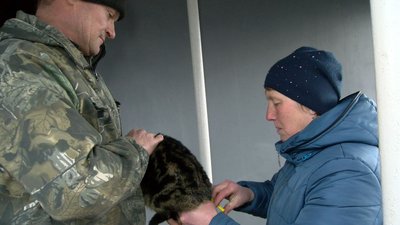 В селі на Волині, де біля школи виявили скаженого пса, почали вакцинувати усіх тварин В селі на Волині, де біля школи виявили скаженого пса, почали вакцинувати усіх тварин