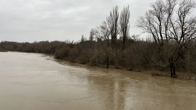 Майже 1,5 м сягнув рівень води в річці Уж. Яка ситуація з підтопленнями в Ужгороді Майже 1,5 м сягнув рівень води в річці Уж. Яка ситуація з підтопленнями в Ужгороді