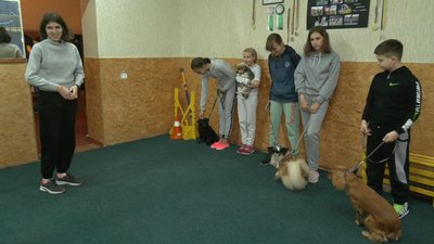 Собачі танці: черкащанка розповіла про вміння своїх собак Собачі танці: черкащанка розповіла про вміння своїх собак