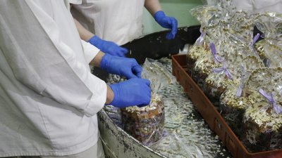 У Великодні свята на одеському хлібзаводі планують виготовити майже 500 тисяч пасок У Великодні свята на одеському хлібзаводі планують виготовити майже 500 тисяч пасок